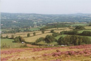 Llanwini-for-web