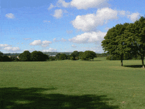Whitchurch-Green,-Bristol-3
