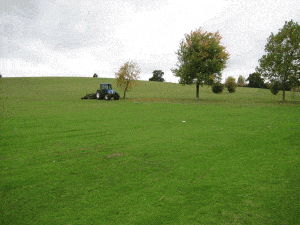 Jessel-Green,-Loughton,Esse