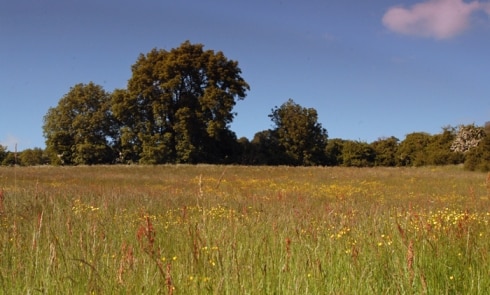 06-Purlewent-Drive-Bath