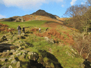 Langdale Pikes, Lake District National Park