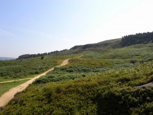 Path to Baildon Moor, Barry Wilkinson/Friends of Ilkley Moor