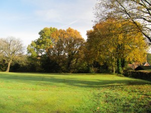 West Liss village green