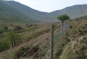 Unlawful fence on common land in the Brecon Beacons National Park. Photo: Sîon Brackenbury.