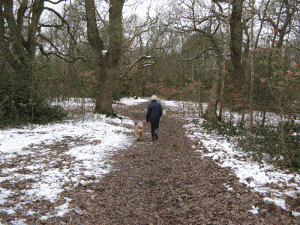 Southborough Common - gift for outdoors lovers