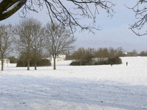 Whitchurch Green Bristol