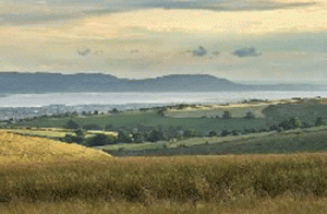 Mynydd y Gwair