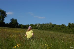 The Field behind Purlewent Drive, Weston, Bath registered as a green in 2013