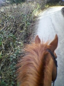 Horse's view of lane near Pontypridd