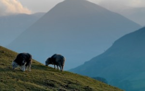 The Nab, Martindale, Cumbria.