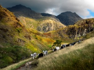 Esk Gorge, Cumbria.