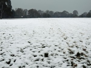 Photograph taken from the definitive route which is is cross fields NE-SW. Photo: Paul Brown