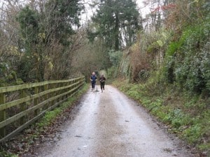 Runners enjoy the peace of Harleyford Lane