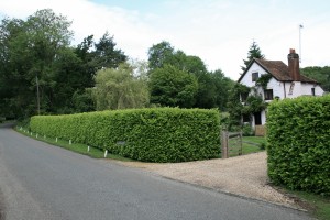 Gosling Cottage before Photo Hugh Craddock