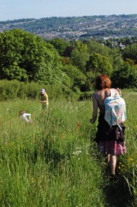 Purlewent Drive, Bath, registered as a green in 2013