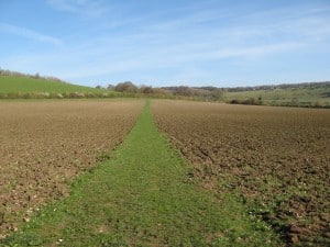 Cross-field footpath, Turville Bucks. It is reasonably convenient to avoid disturbing the surface.