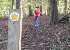 The northern end of the path at its junction with Pack and Prime Lane