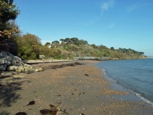 Castle Cove Beach last week, Photo: Steve Elsworth