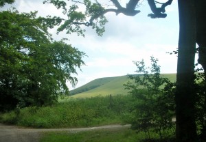 Firle Beacon on the Firle Estate, from the Old Coach Road.