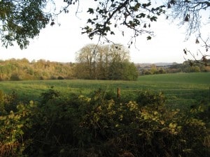 The view from the path, south-east towards Henley