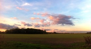 The site of the solar farm