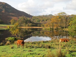 Rydal Water, Lake District