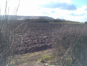 The path departs from the point at the bottom of the picture and the route is ploughed up as shown. The photo is taken slightly to the right of the line of the path.