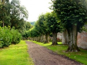 The path through Andrew Lloyd Webber's hamlet of Sydmonton, Hampshire, which the society helped to save in 1996. Photo: Dave Ramm