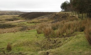 Bryn Farm, already access land.