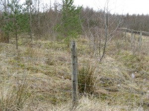 Fencing at Waun y Pound proposed exchange land