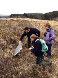 Reptile survey on Woodbury Common 