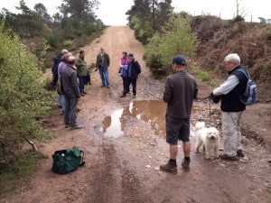 Bridgewater Bicton Common