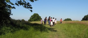 Hampstead Heath