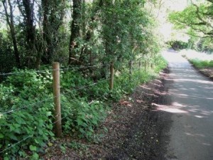 Unlawful fence on Pinner Green common which has now been removed