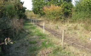 Temporary electric fencing.