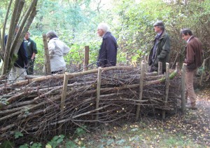 3 Dead hedge