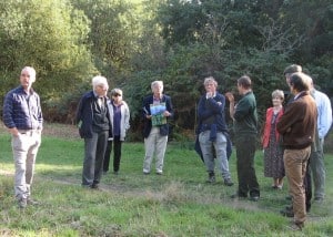 Andy Thwaites tells us about the pollarded oaks