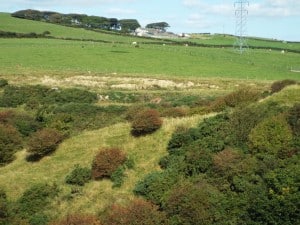 View from a footpath close to the proposed development, with the County Wildlife Site of Mouzell mines in the foreground and the grade II listed High Haume farmhouse in the background. Part of the proposed site would take up the middle ground.