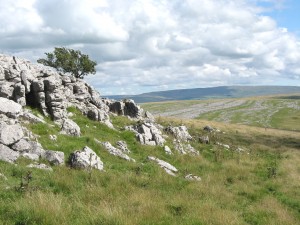 Limestone pavement on Little Asby Common, between Orton and Krkby Stephen in Cumbria, which will be included within the Yorkshire Dales National Park. Photo: Friends of the Lake District