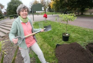 Kate plants the oak tree. Photo: Nottingham Post