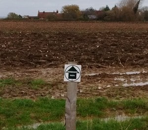 Ploughed up path just south of the Barley Mow at Selmeston on 9 November 2015