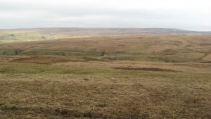 The common land to be taken, looking towards the Brecon Beacons