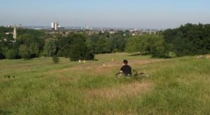 Hampstead Heath