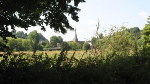 Lammas lands, Godalming, Surrey