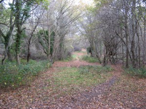 The 'fencing' crosses the track