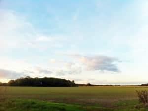 The site of the proposed solar farm