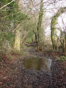 The entrance to the green lane