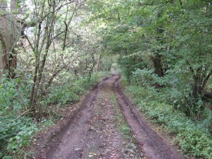 Tinkers' Lane, Lapworth in Warwickshire