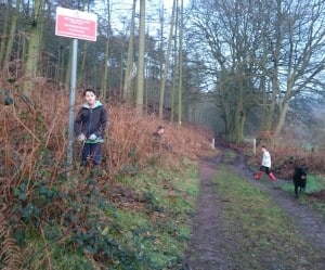 Weston Woods, the notice has since been removed.