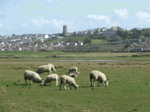 Northam Burrows, Devon